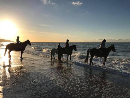Les Pieds Dans L'Eau - Acces Direct A La Plage Bernières-sur-Mer Exteriör bild