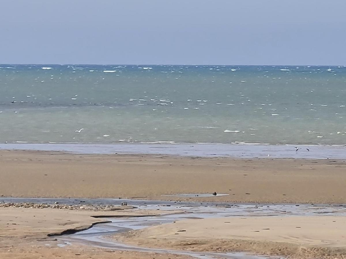 Les Pieds Dans L'Eau - Acces Direct A La Plage Bernières-sur-Mer Exteriör bild