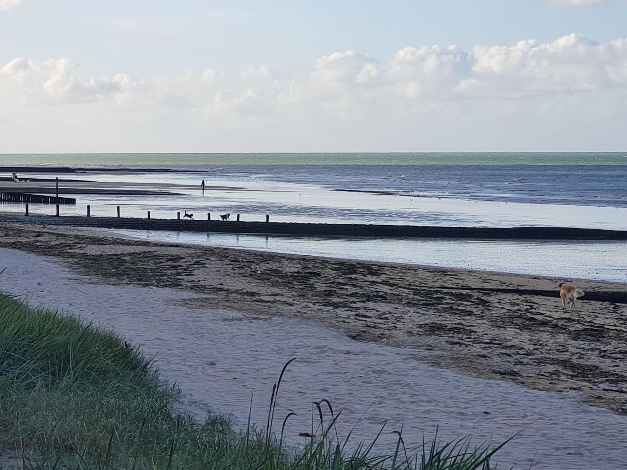 Les Pieds Dans L'Eau - Acces Direct A La Plage Bernières-sur-Mer Exteriör bild